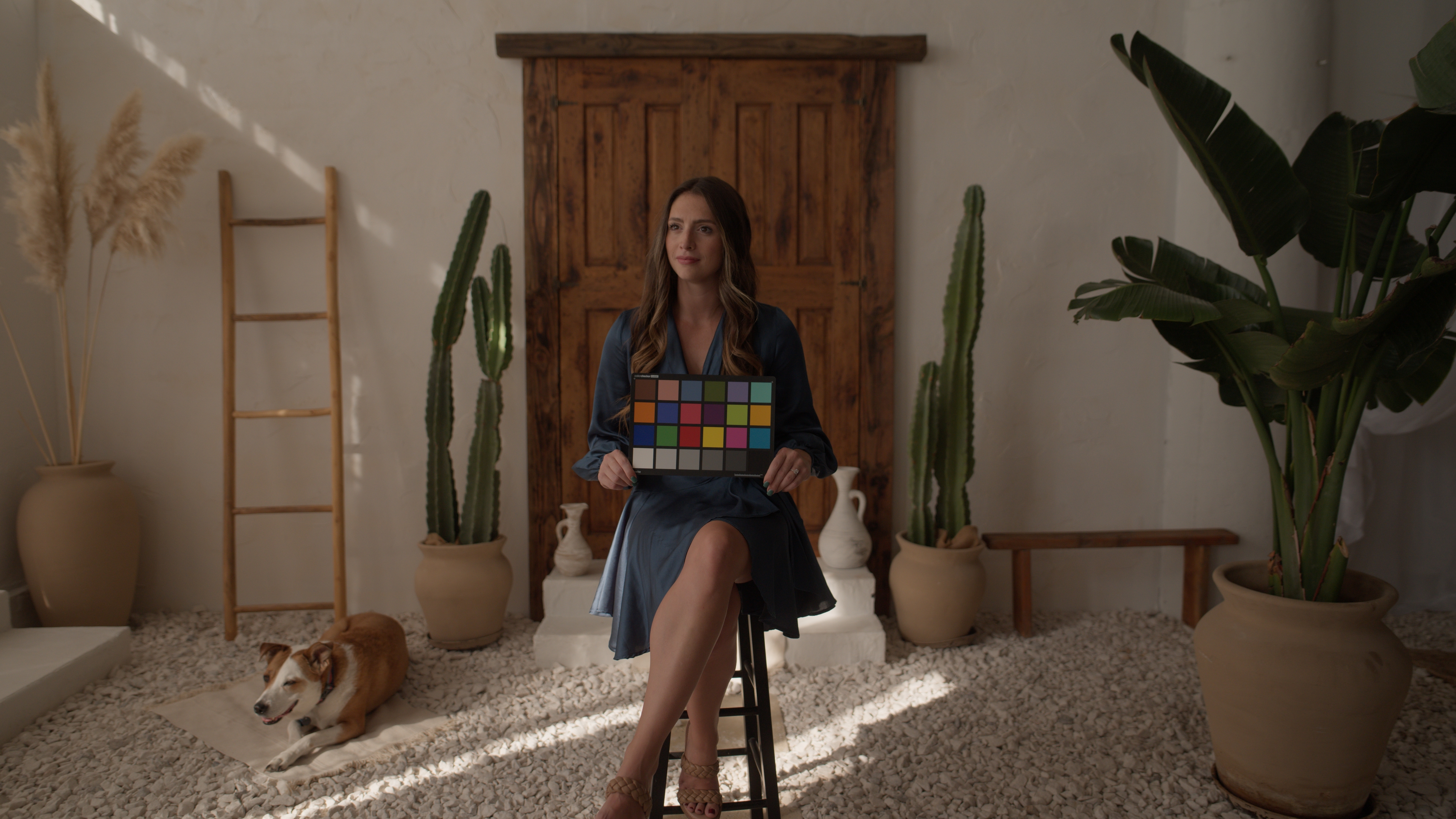 Cinematic Grade - Before